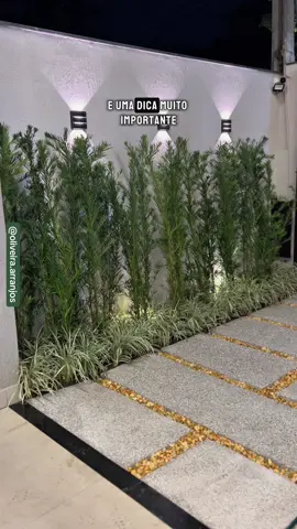 3 opções para deixar a sua casa super bonita.  Espécies como Maranta charuto, podocarpus e Dracenas Cordeline são super resistentes e lindas para ambiente internos e externos.  {paisagismo residencial, jardim em casa, canteiros de jardins, plantas para sombra e sol}  #paisagismo #landscape #gardening #garden #plants #dicas #jardinagem #jardins 