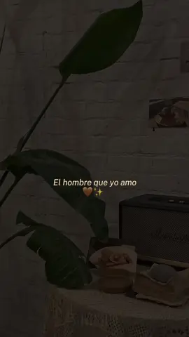 El hombre que yo amo 🤎✨  … #elhombrequeyoamo #myriamhernandez #dedicar #amor #letrasdecanciones🎧🎶 #lyrics #rolitas #indirectas #enamorados #musica #fyp 