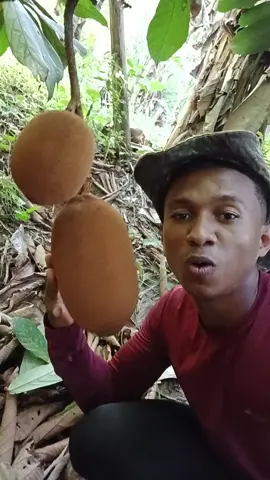 cupuaçu #frutas #cupuaçu 