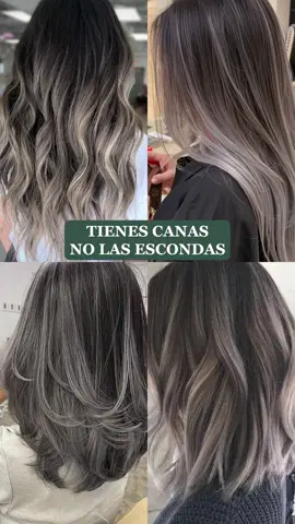 🔥 Olvida los tintes radicales. Mechas platinadas o iluminage dan luminosidad natural a tus canas... ¡y años menos al rostro! ✨👌 #ddelavega #empresamexicana #tonos #canas #ddelavegacolor #cambiodelook #disimularcanas #balayage #babylights #mechas