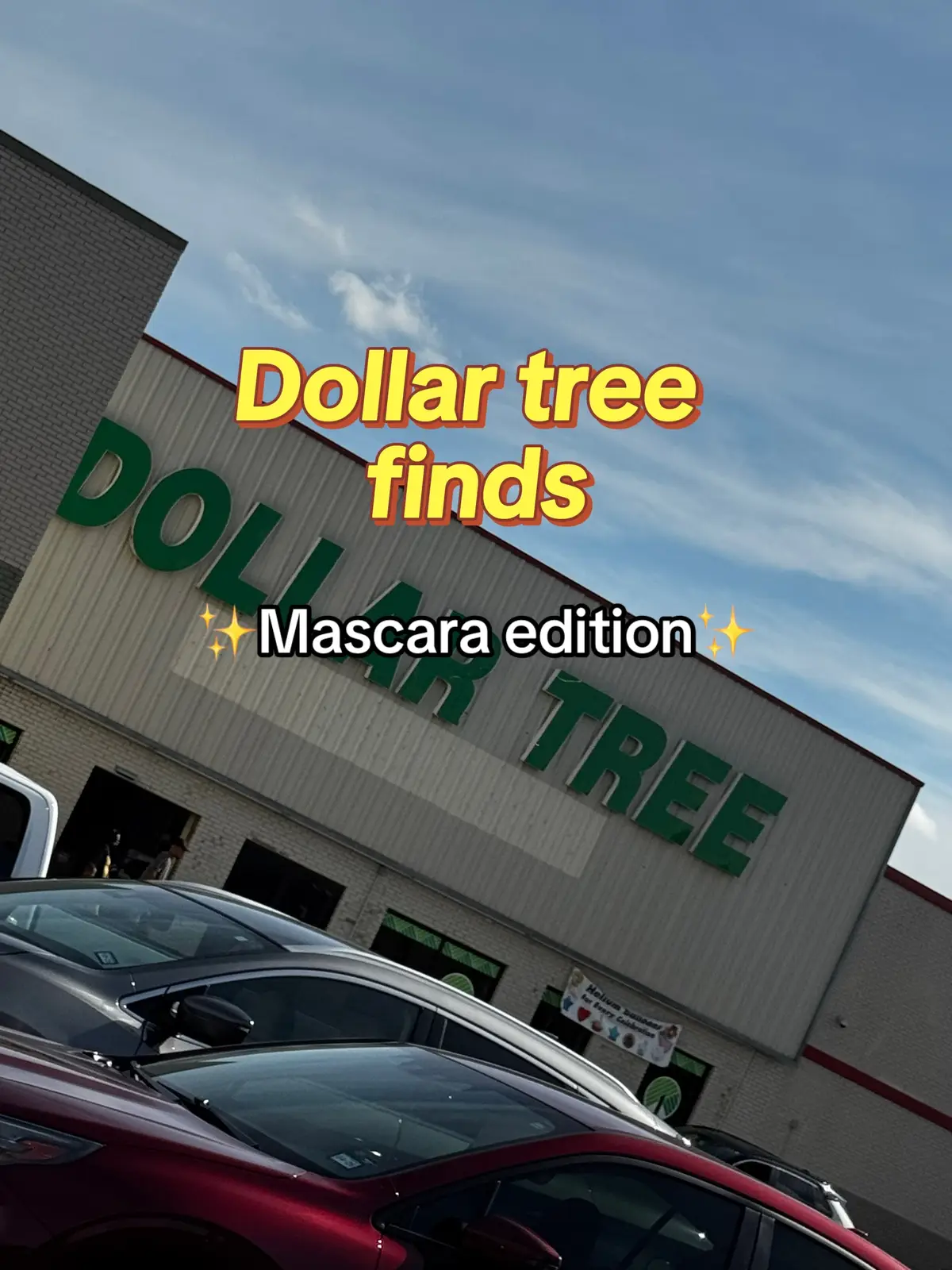 #dollartree #dollartreefind #mascara #fyppppppppppppppppppppppp #Summer #parati #momtok #teammom #tiktokshop 