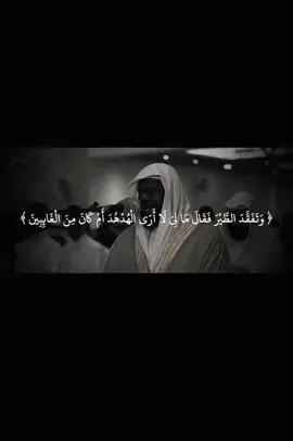 #عيسى_سناكو #سورة_النمل 