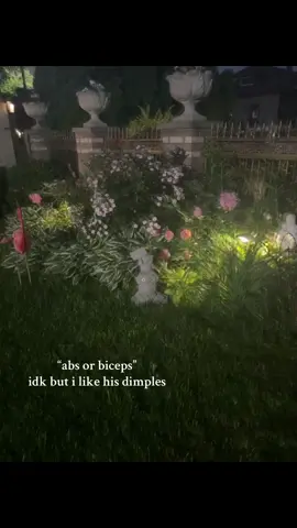 i loveeeee his dimples they are so cuteee 🤍 #lockedin #repost #trending #relatable #xyzbca #bf #lover #dimples 