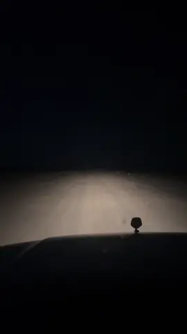 #اكسبلورexplore 