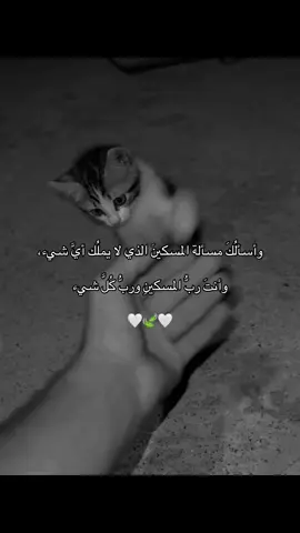 #ستوريات_دينية #fyp #اكسبلور #تركيا #اصنة 