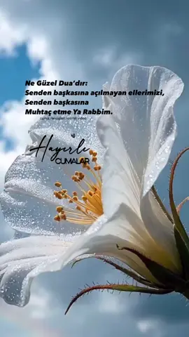 HAYIRLI CUMALAR… #a#ayeth#hadisi#islamm#müslümank#kurana#allahm#mekkei#islamicquotesm#medined#dink#kadinp#parad#dosts#sadakae#erkekz#zenginliki#islamh#hadislerr#reelsinstagramr#reelst#tredingreelsf#fypppppppppppppppppppppppppppppppppppppppppppppppppppppppppppppppppv#viralreelsi#instagramreelst#trendi#instagoodforyou
