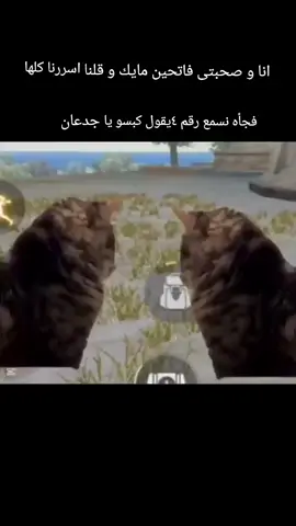 اقوى صدمه فى العالم 😭  #الشعب_الصيني_ماله_حل😂😂  #فرى_فاير_free_fire  #ترندات 