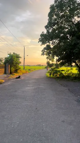 Một cung đường đẹp ở làng quê#binhyen 