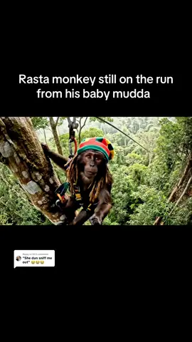 Replying to @DC comment where rastamonkey should hide next🤫#rastamonkey #rasta #monkey #Vlog #chill #ai #bigfoot 