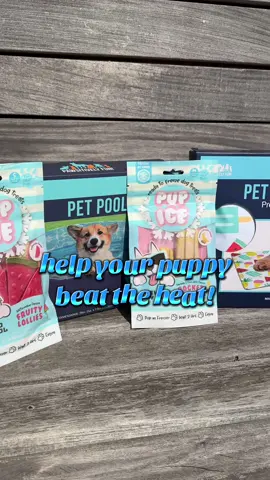 lounging in a pool with a popsicle and cooling mat - aka living the dream 🐶😎🌞 #fivebelow #fivebelowhaul #fivebelowfinds #puppy #dogfinds