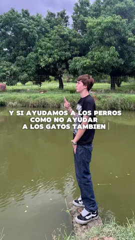 Sigannos aquí estamos estaremos leyendo los comentarios tamos activos 😘😺@Leandro @La Casa Del Maíz 🐶🐱💛 #paratii #risas #perritosdelacalle #fyp #musica
