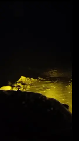 #jarintaus #salud #viajito #CapCut #🍻🍻🍻🍻🍻🍺🥃🥃🥃🥃🥃🥃🥃🥃 