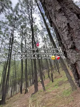Tú eres mi última oportunidad al amor 🥹🥹😢😓🥺❤️‍🩹❤️‍🩹#paratiiiiiiiiiiiiiiiiiiiiiiiiiiiiiii #amor 