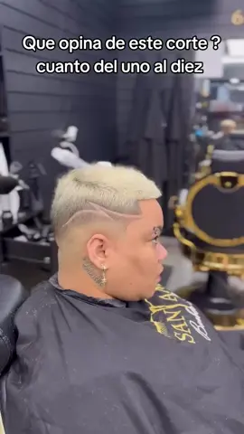 #tiktokscenescontest  Que Opina de este corte 