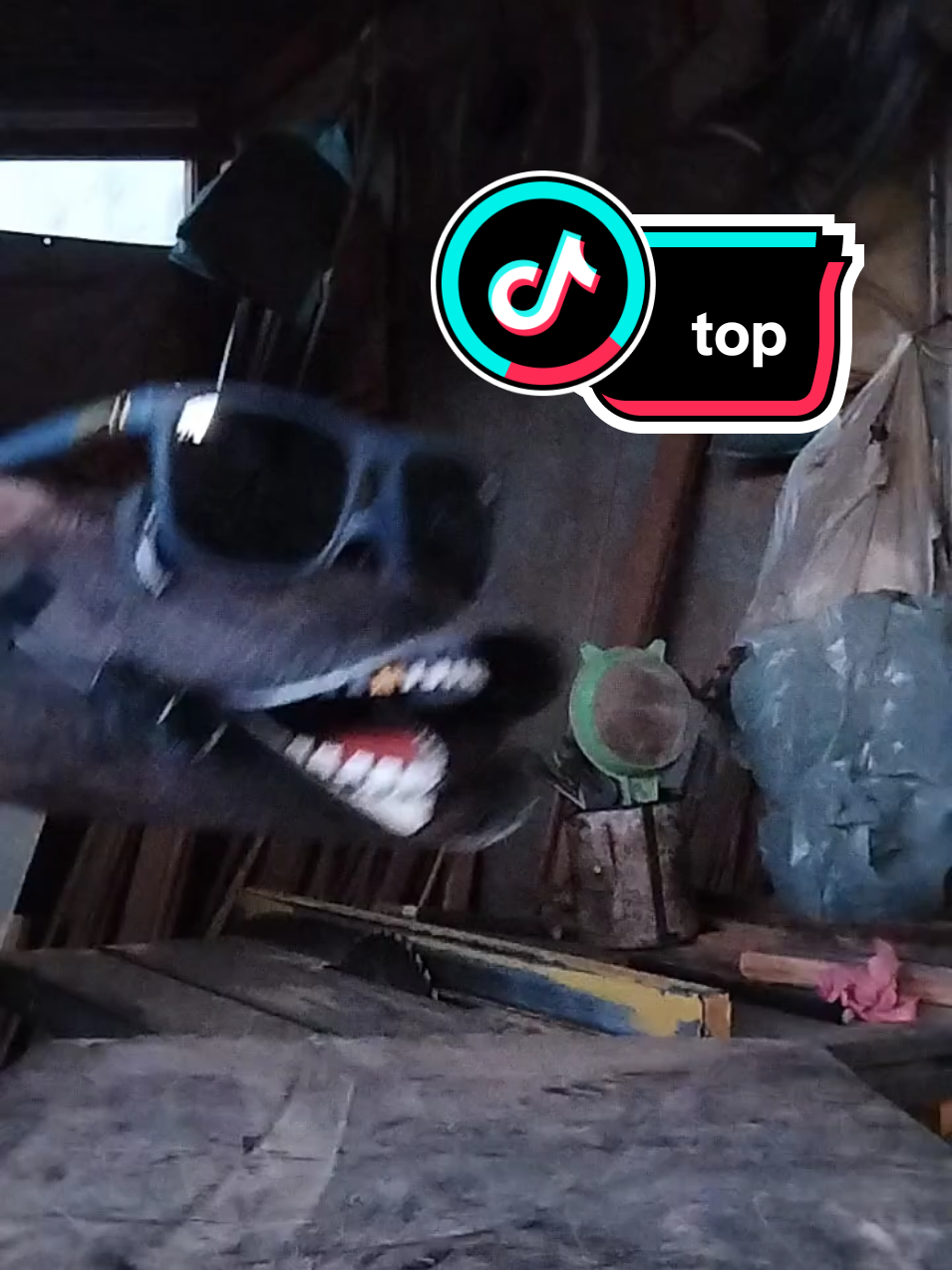 cavadeira cantora #dublagem #cavadeira #ferramenta 