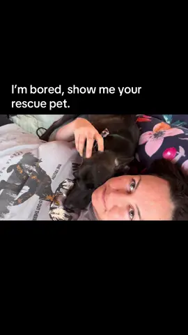 Wishing everyone could feel the love this little guy shows on the daily. #fyp #dogsoftiktok #rescue #dog 