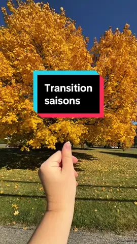 4 saisons. ❤️🌸☀️🍂❄️ J’ai enfin pu terminer cette vidéo!!! #saisons #transition #quebec 