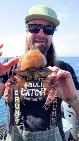 Sea Anemone #seafood #friendliestcatch #commercialfishing 