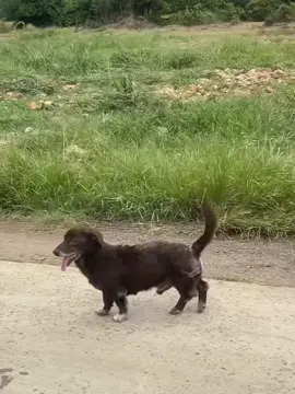 Phụ tùng quá chất..