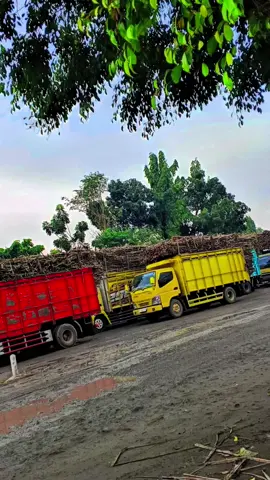 selamat pagi Ojo lali ngopi😅#fypage #fyp #drivermudaindonesia #pgtrangkil #tebu #truktebu 