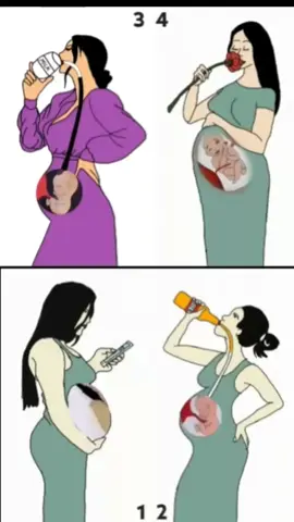 Pregnancy Animations  #pregnancytips  #momtobe  #pregnancyjourney  #tiktokhealth  #foryou