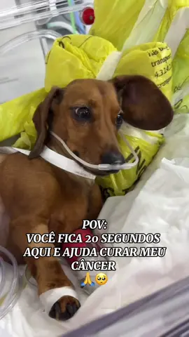#vaiprafy #fyyp #foryou #dogbeto