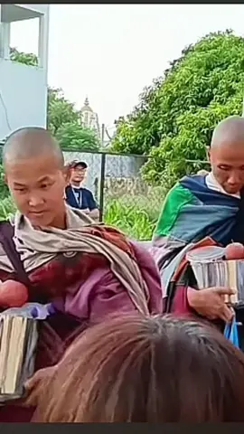 Thầy Minh Tuệ 13/6 #thayminhtuemoinhat #thayminhtue #thichminhtue #tinco369 