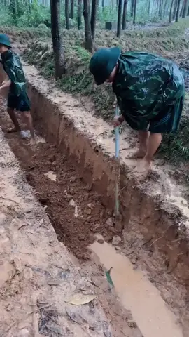 Không có là ko thể