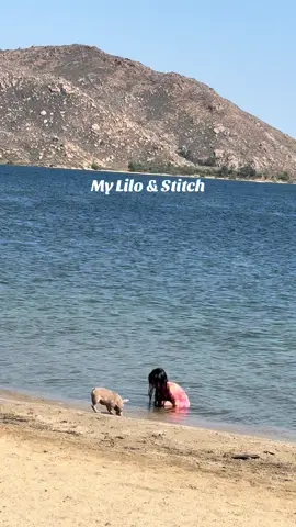 My Lilo & Stitch