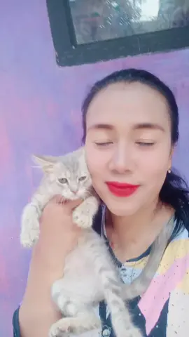 #kucing kesayangan#😻😽😼 