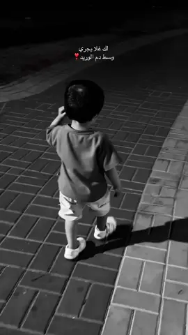 #سكاكا_الجوف_اكسبلور_تصويري ❣️