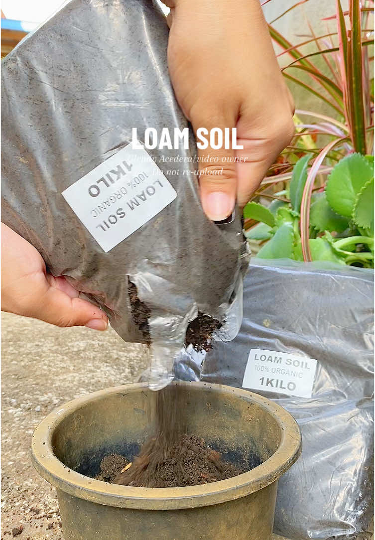 Loam soil #loamsoil #soil #forplants 