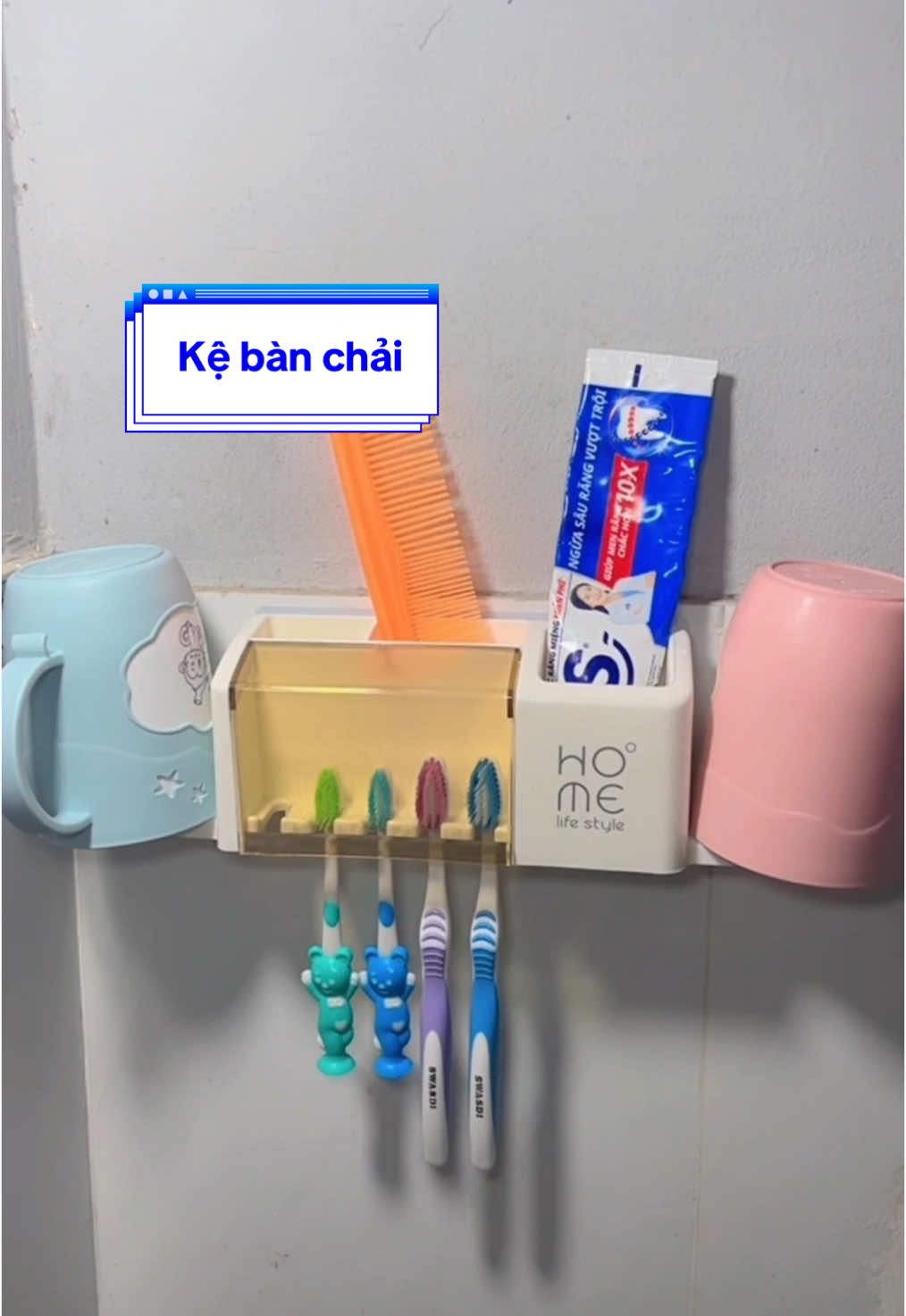 Kệ bàn chải nhỏ gọn tiện lợi #kebanchaidanhrang #vesinhnhacua #xuhuong #fyp #foryou #fouyoupage 