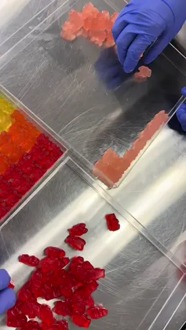 Think charcuterie, but candy 🍭🍬 Every board is hand-layered with the best gummy candies for flavor, texture, color, and wow factor. It’s not random—it’s an experience. And yes, it comes with a lid 🎁💝 #rubybond #candy #candycharcuterieboard #candyboard #candybox #candyboard #gummycandy #candytok  