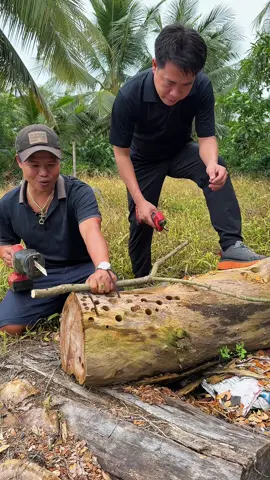 Cuộc đua giữa cưa kiếm và kéo cắt cành #mộcmựcmẹo #iing #keocatcanh #amaxtools 