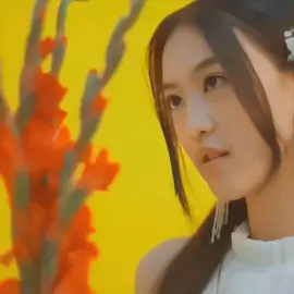 calon mantu #greeseljkt48 #jkt48newera #fyp 
