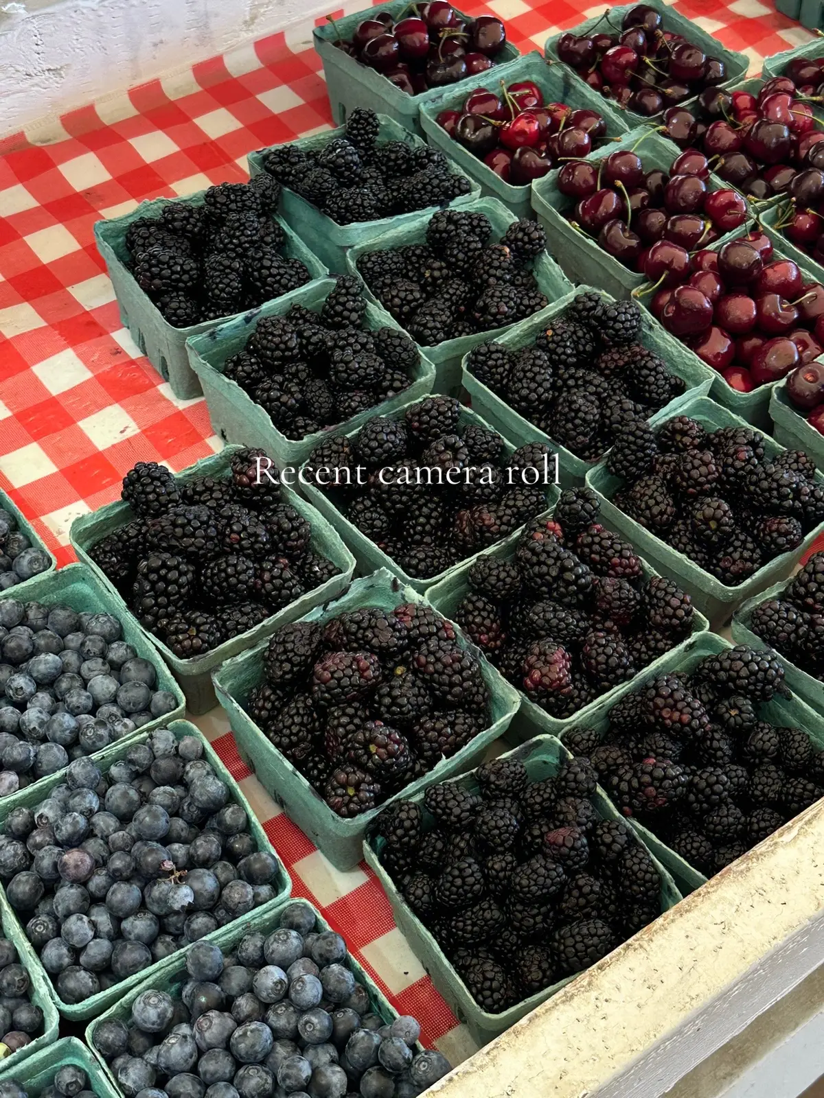 My camera roll #recent #recentcameraroll #photodump #homeiswheretheheartis #thecarolinas #homesweethome #lifelately #daily #Summer #farmersmarket #sourdough #sourdoughtok #antiqueshop #marthastewart #nancymeyers #baking 