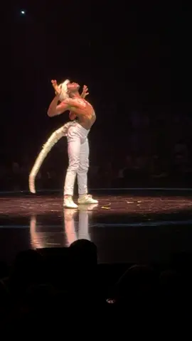 You may think this is AI, but it’s not #amazingvideos #viral #fy #fyp #foryou #foryoupage #circus #crazyvideos #ai #aivideos