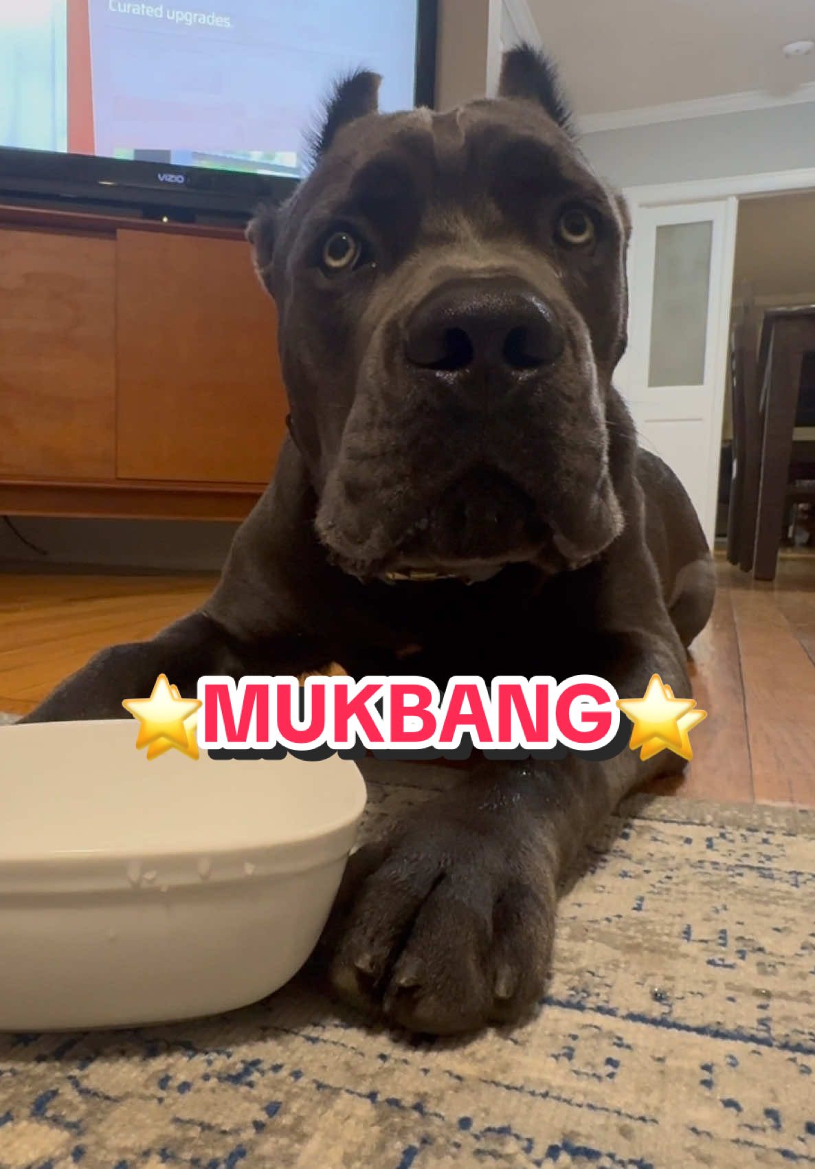 ⭐️MUKBANG⭐️ BEAU BEAU EATING ICE #mukbang #asmr #beaubeau #thebeaumobile 