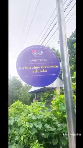 #tuyến đường thanh niên kiểu mẫu của tỉnh đoàn long an #ĐVTN xã nhơnninh trồng cây tại ấp trại lòn nam xã nhơnninh huyện tân thạnh, tỉnh long an #CapCut 
