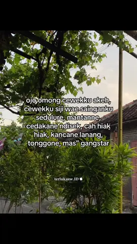 #galaubrutal #fyp #4u #bismillahfyp #storytime #jowocidro 