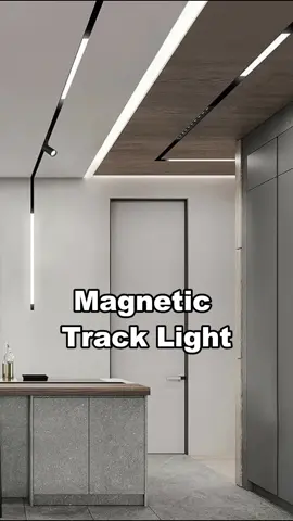 Minimalist magnetic track light. #lamp #light #led #smarthome #lightingdecor #homedecor #lightingdesign #lampdesign #interiordesign #lampfactory #ledstriplights #ledstrips #DIY #installation #designer #architect #architecture #instagood #Home #atmosphere #aleadhome #aleadlighting #madeinchina #made_in_china 