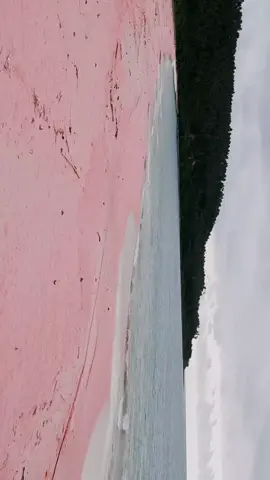 pink beach Afulu Nias Utara. #beach #wave #natural #nature #traveltiktok #travelphotography #travel #trip #dji 