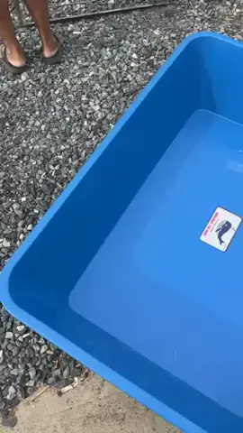 #อ่างเปล **เหลี่ยม** 240ลิตร #อาบน้ำเด็ก #กระบะทราย #อ่างบัว #อ่างเลี้ยงปลา #อาบน้ำเด็ก #ผสมปูน #กระบะปูน 