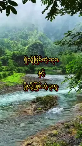 #သစ္စာရွှေစည်ဆရာတော်အရှင်ဥတ္တမ၏တရားတော် #တရားတော်များ #ဓမ္မဒါန #တရားနာယူချင်းဖြင့်စိတ်အေးချမ်းပါစေ🙏🙏🙏 #တရားနာ၍စိတ်ရောကိုယ်ပါအေးချမ်းကြပါစေ😊🙏🌹 