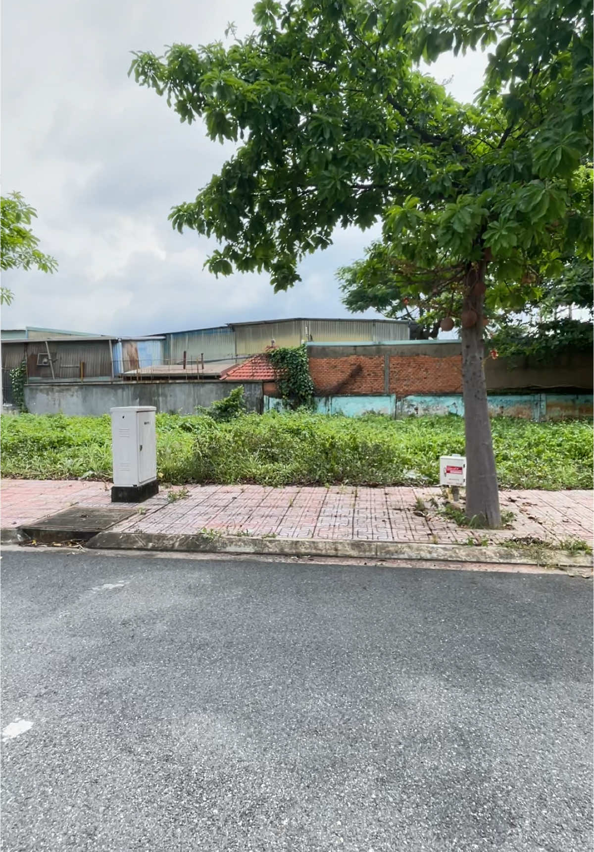 Đất KDC Lê Phong Thuận Giao, gần chợ Đêm Hoà Lân, vòng xoay An Phú, 1027 Thuận An Bình Dương #quangvinh #batdongsan #binhduong #bandat #bannha #dian #thuanan #nhadatbinhduong #nhadep #nhapho 