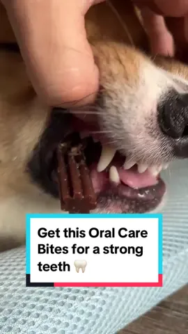 Get this Oral Care Bites for a strong teeth 🦷