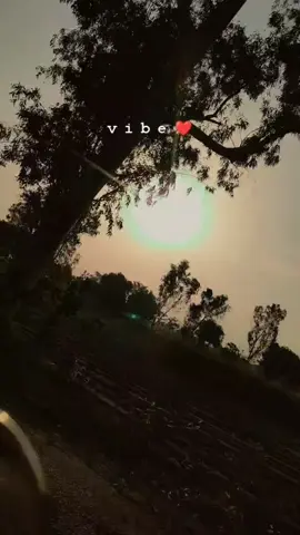 #creatorsearchinsights #fy #fypシ゚viral #fyp #pind #village #life #gaon #vibe #growmyaccount #explore #viral #viralvideo #foryoupage #fyp 