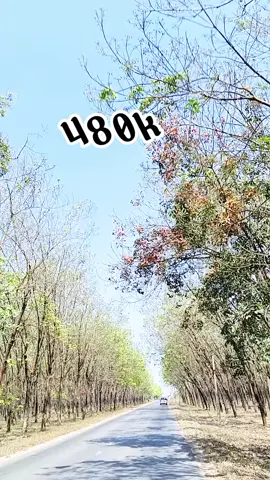 #xuhuong2025 #thinhhanhtiktok #thinhhanh 