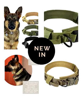 Upgrade your pup's style with our **Military Tactical Dog Collar**! 🐾✨ Durable, fast-shipping, and oh so stylish! Get yours now 👉 [Fast Shipping Durable Military Tactical Dog Collar](https://doorstepickup.store/products/fast-shipping-durable-military-tactical-dog-collar-391359860?ref=minta-video-app-RlrCl4QSlA) #DogLovers #TacticalDogGear #PawfectStyle